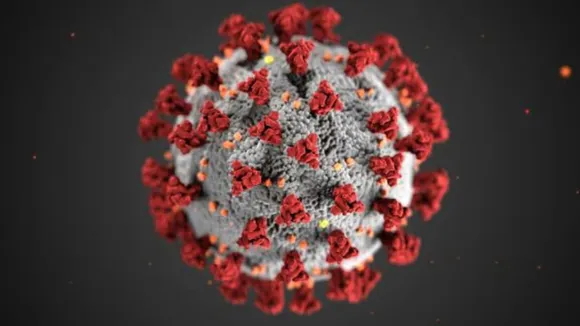 hmpv virus india