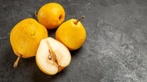 Foods for Winter Weight Loss