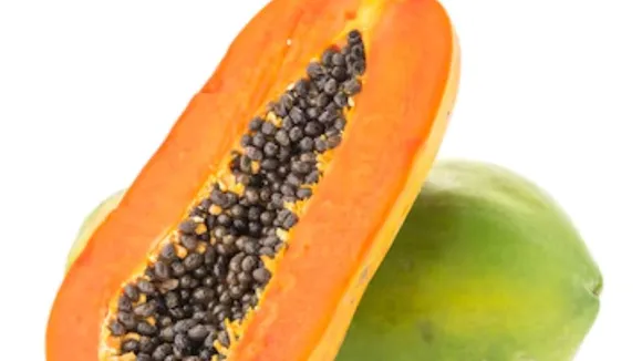 Foods for Winter Weight Loss