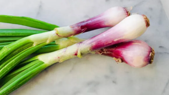 Green Onions | Green Onions Benefits | spring onion benefits | helath tips of Green Onions | Green Onions recipe | how to use Green Onions