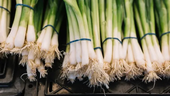 Green Onions | Green Onions Benefits | spring onion benefits | helath tips of Green Onions | Green Onions recipe | how to use Green Onions