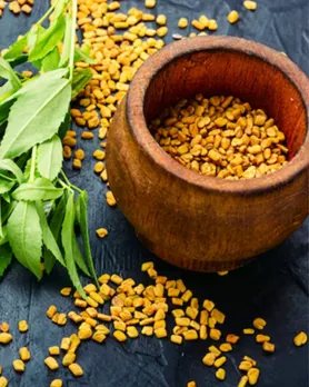 Fenugreek Seeds