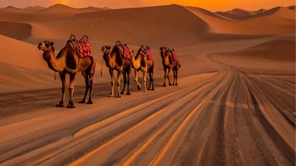 india best travels place in Gujarati