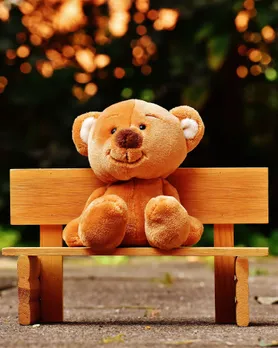 Teddy Day special