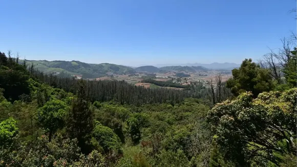 south India best hill station, yercaud travels plan