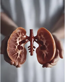 strawberry kidney health