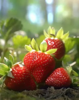 summer fruit strawberries tips