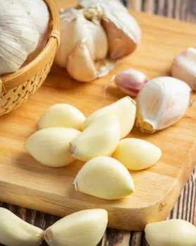 Garlic