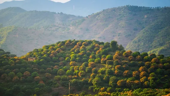 Hill Station | Ascot Hill Station | Ascot Hills | famous hill stations in Uttarakhand | famous hill stations in India | best hill stations for summer vacation | for summer vacation destinations