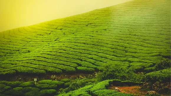 March travel tips romentic destination