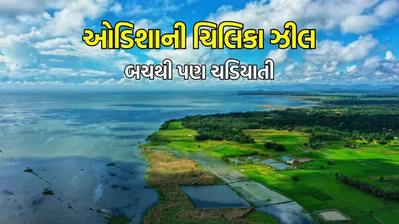summer travel tips odisha chilika
