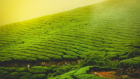 Romantic places to visit in March