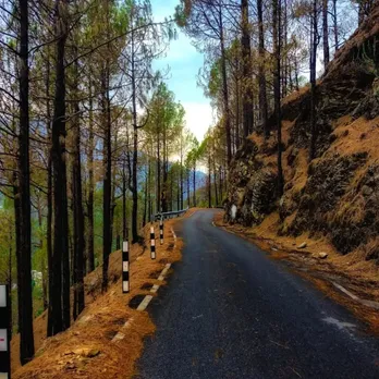 Shoghi Hill Station | Shoghi Hill Station Trip | Shoghi Hill Station Tour Plan | Best Places Visit In Shoghi Hill Station | Best Hill Station In himachal Pradesh | Hill Station