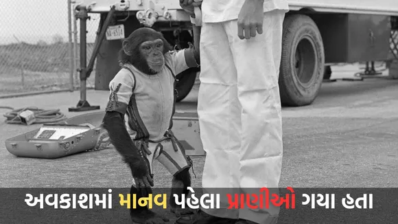 Space Missions | Animals in space