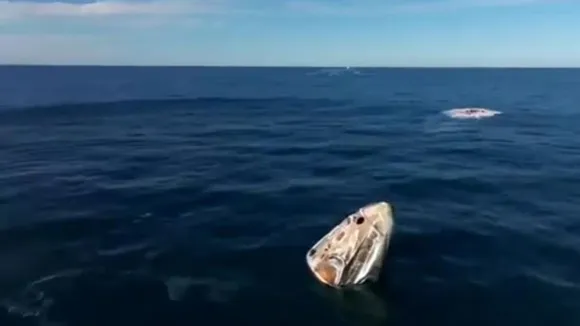 sunita williams return video