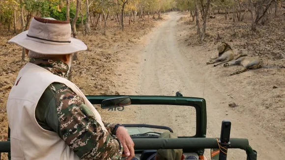 How much does Gir safari cost, Which city is closest to Gir National Park