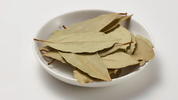 bay leaf