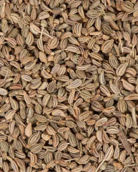 carom seeds