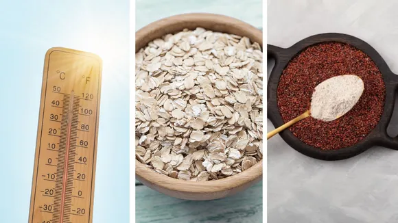 cereals for cooling your body in summer