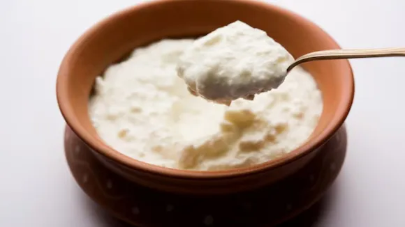 curd recipes in gujarati