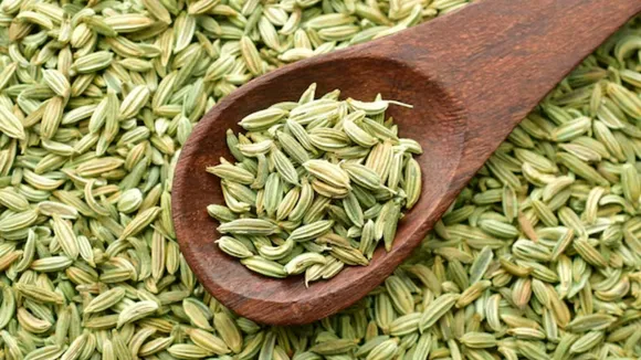 fennel seeds benefits