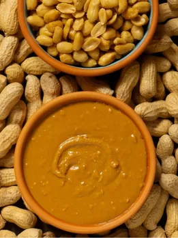 peanut chutney recipe in gujarati