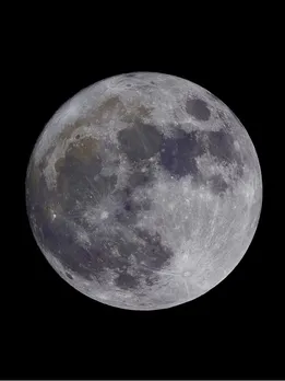 holi Chandra graham 2025