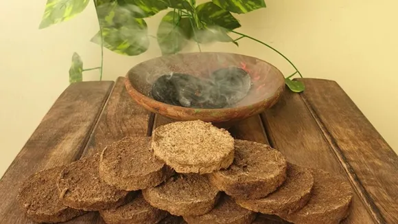 holika dahan cow dung 