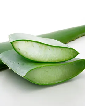 Aloe vera gel