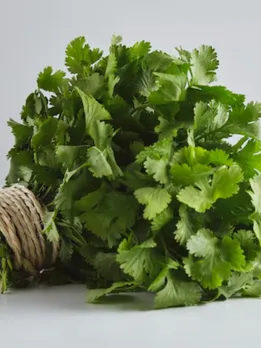 Coriander use in gujarati