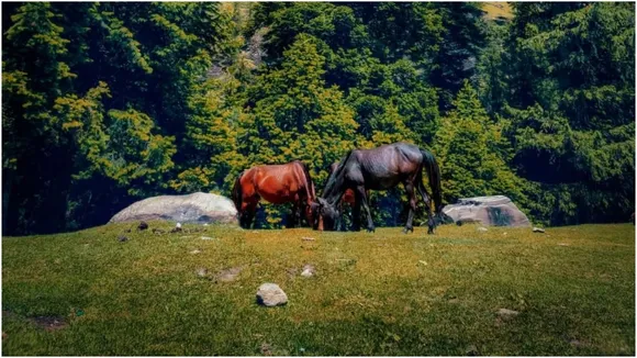 Gulaba hill sation visit plan