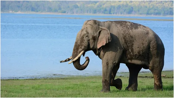 India top 10 Sanctuary