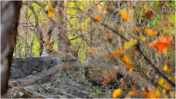 India top 10 Sanctuary