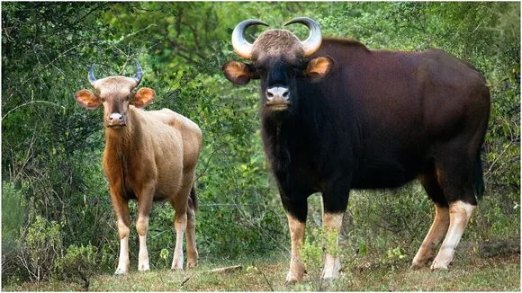 India top 10 Sanctuary