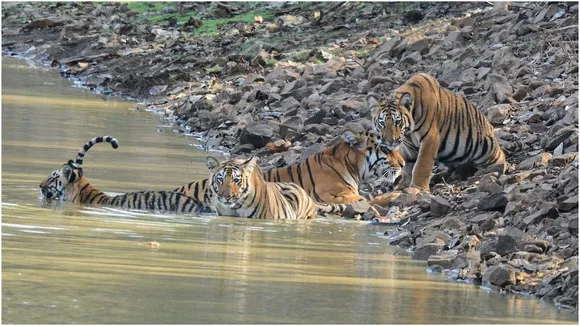 India top 10 Sanctuary