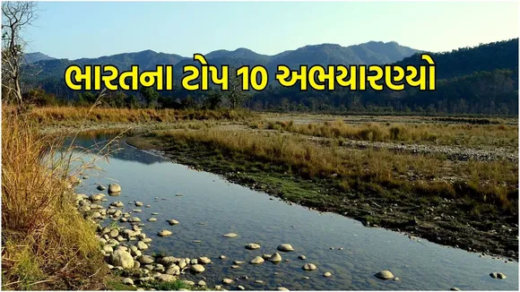 India top 10 Sanctuary