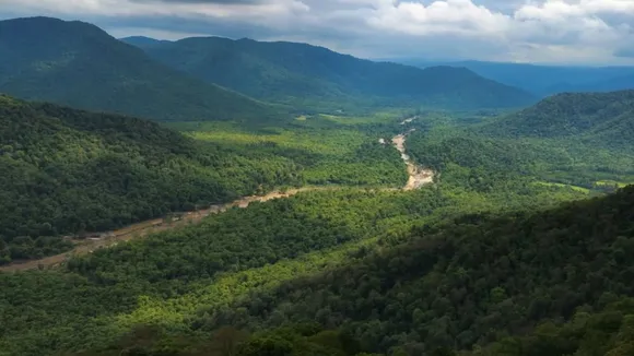 Chikkamagaluru Hill Station | Karnataka Hill Station | Chikkamagaluru Hills Trip | Chikkamagaluru | Hill Station