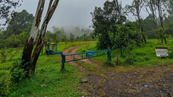 Chikkamagaluru Hill Station | Karnataka Hill Station | Chikkamagaluru Hills Trip | Chikkamagaluru | Hill Station
