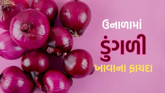 Onion Benefits In Summer | Onion | Health Benefits Of Onion | Onion recipe | summer superfood