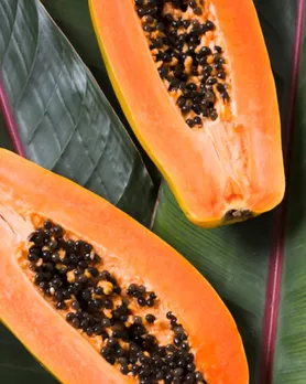 Papaya Honey Custard