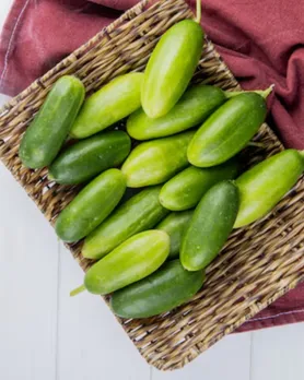 Pointed gourd benefits