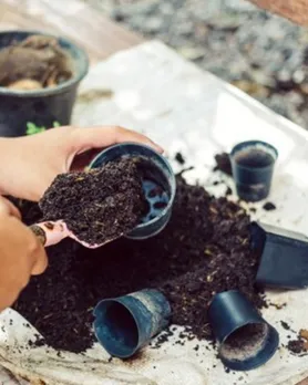 Preparing the pot and soil