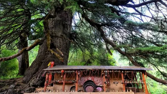 Uttarakhand Latu Devta Temple Tour in Summer