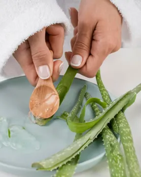 aloevera for skincare