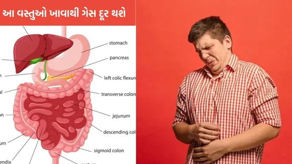 bloating, foods to reduce bloating