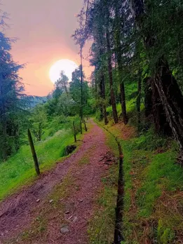 hill station | chail hill station | hill station in himachal Pradesh | famous tourist places in himachal Pradesh | chail hills