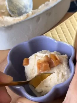 chikoo ice cream making tips