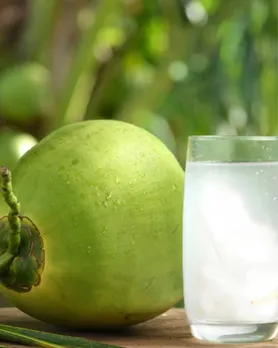 coconut aloe vera water