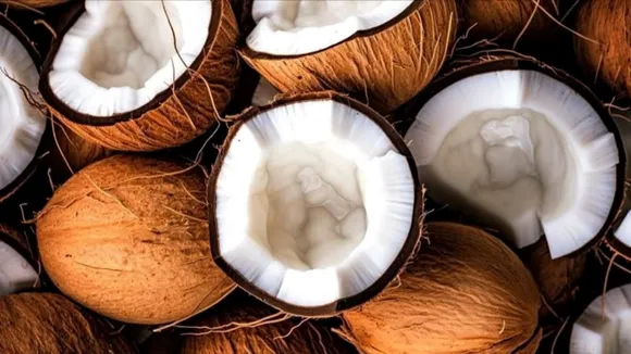 coconut shell, coconut