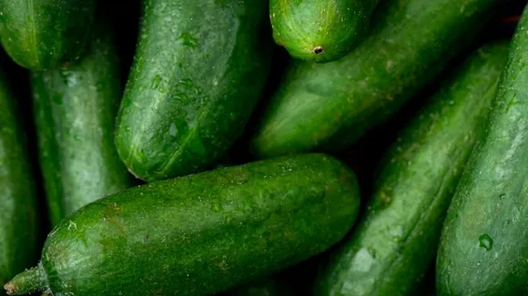 cucumber | cucumber benefits | how to choose sweet cucumber | cucumber buying tips | cucumber buying tricks | kadwa kheera pahchanne ke upay